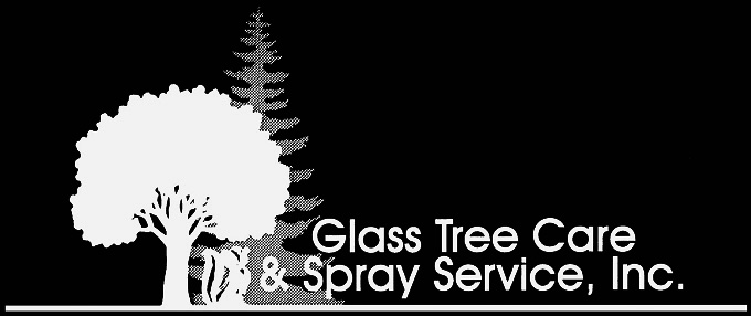 Glass Tree Care & Spray Service Logo