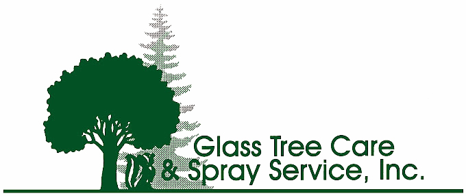 Glass Tree Care & Spray Service Logo
